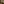         @feeltheflesh (1).png
